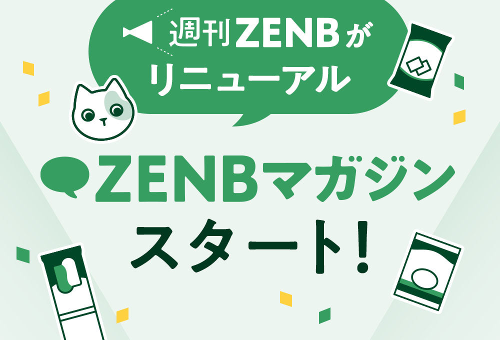 「ZENBマガジン」スタート！